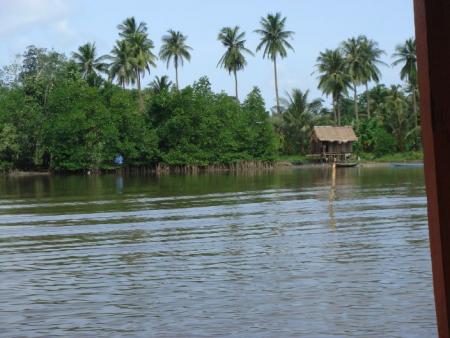 La mangrove Dimanche 9